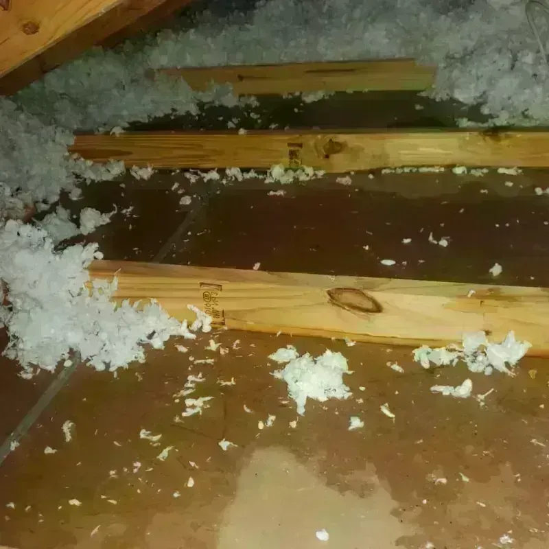 Attic Water Damage in Bethlehem, NC